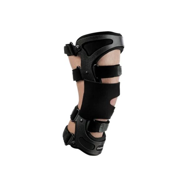 14196 - Image 2